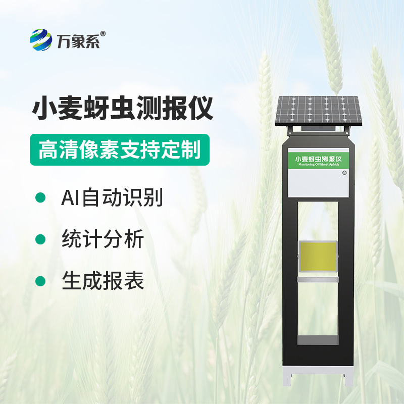 智能傳感器助力精準農業,小麥蚜蟲測報儀防控有了新手段