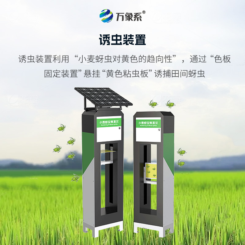 小麥蚜蟲測報儀