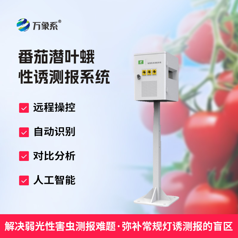 番茄潛葉蛾性誘測報系統:守護番茄園的科技衛士