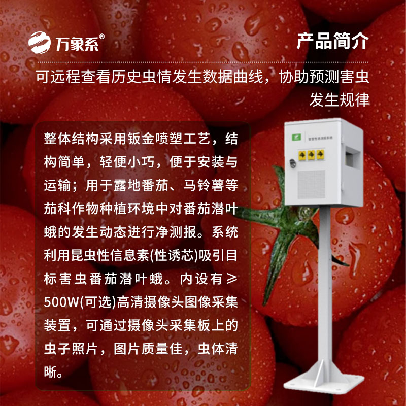 番茄園的電子哨兵:番茄潛葉蛾性誘測報系統